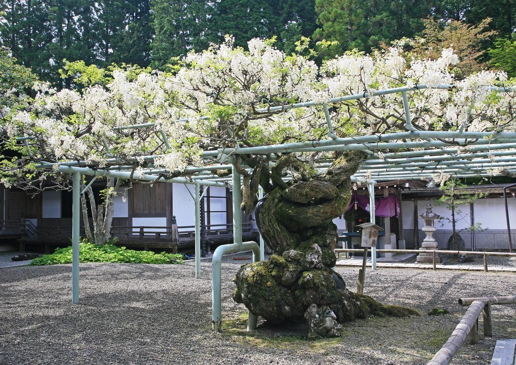 Sojiin Hotel Koyasan Exterior photo
